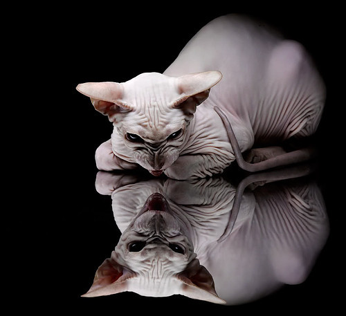 九游娱乐入口-马克西独舞贡献制胜表现，老鹰展翅打穿山西队防线